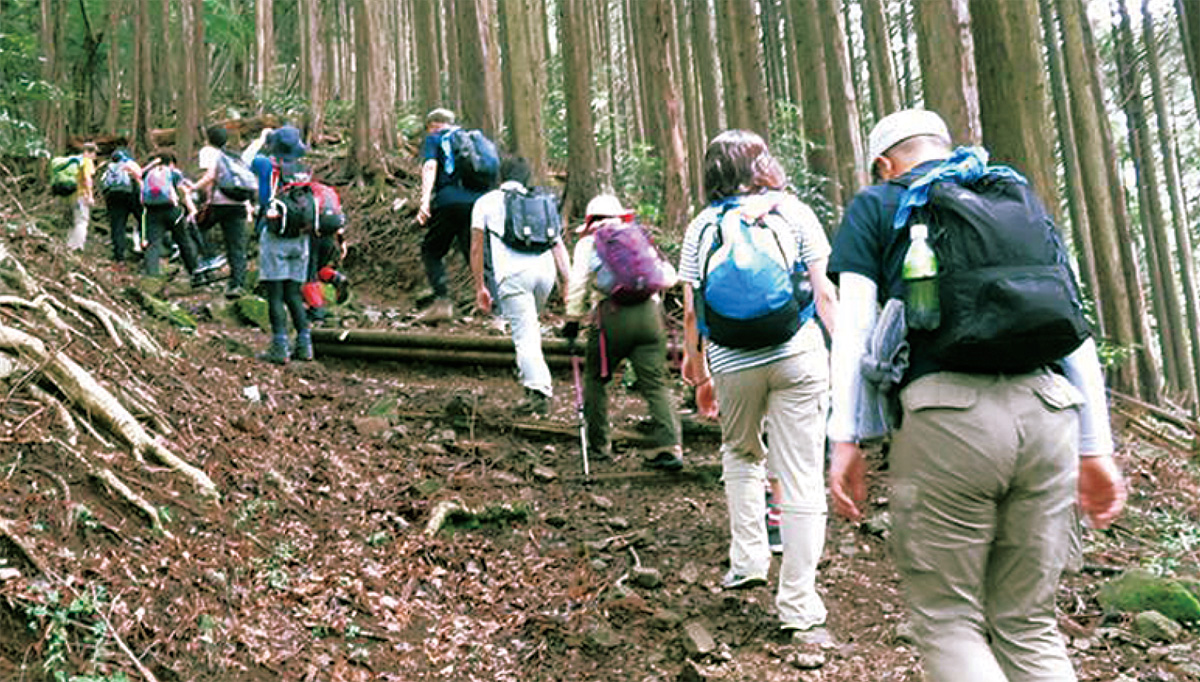 登山 大山