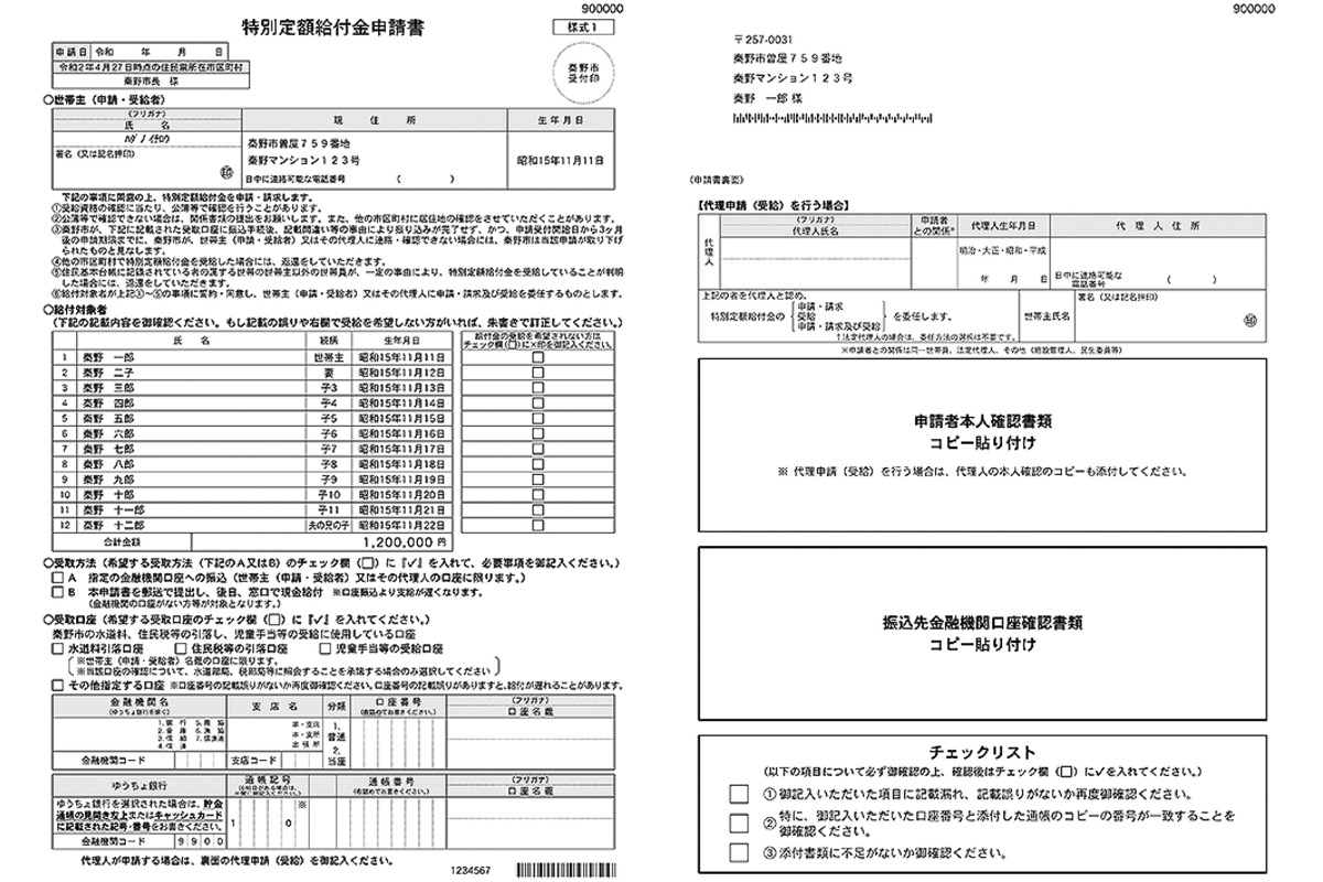 金 給付 特別 定額