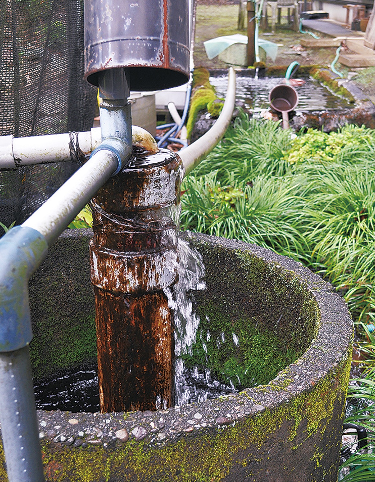使用しているのは天然の湧水