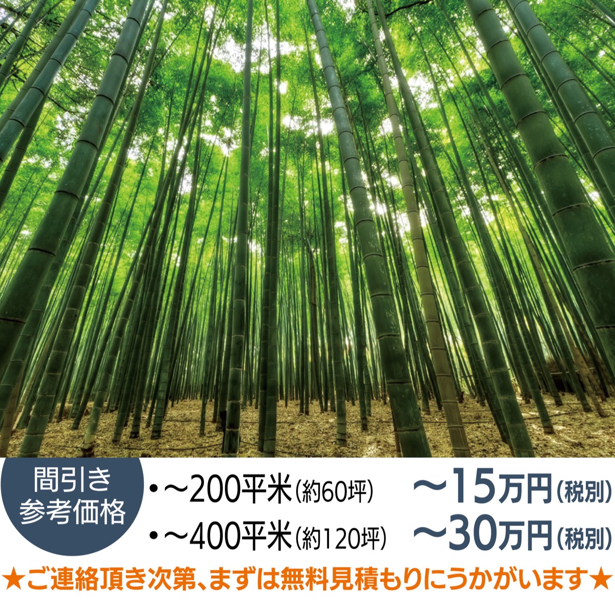 竹の伐採、承ります。 竹の伐採、承ります。