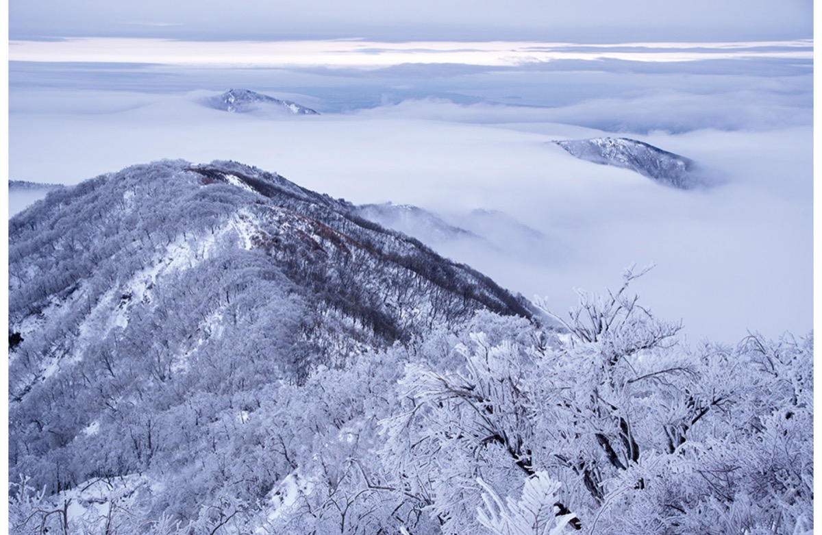大賞作品「表尾根・白の静寂と流れ」