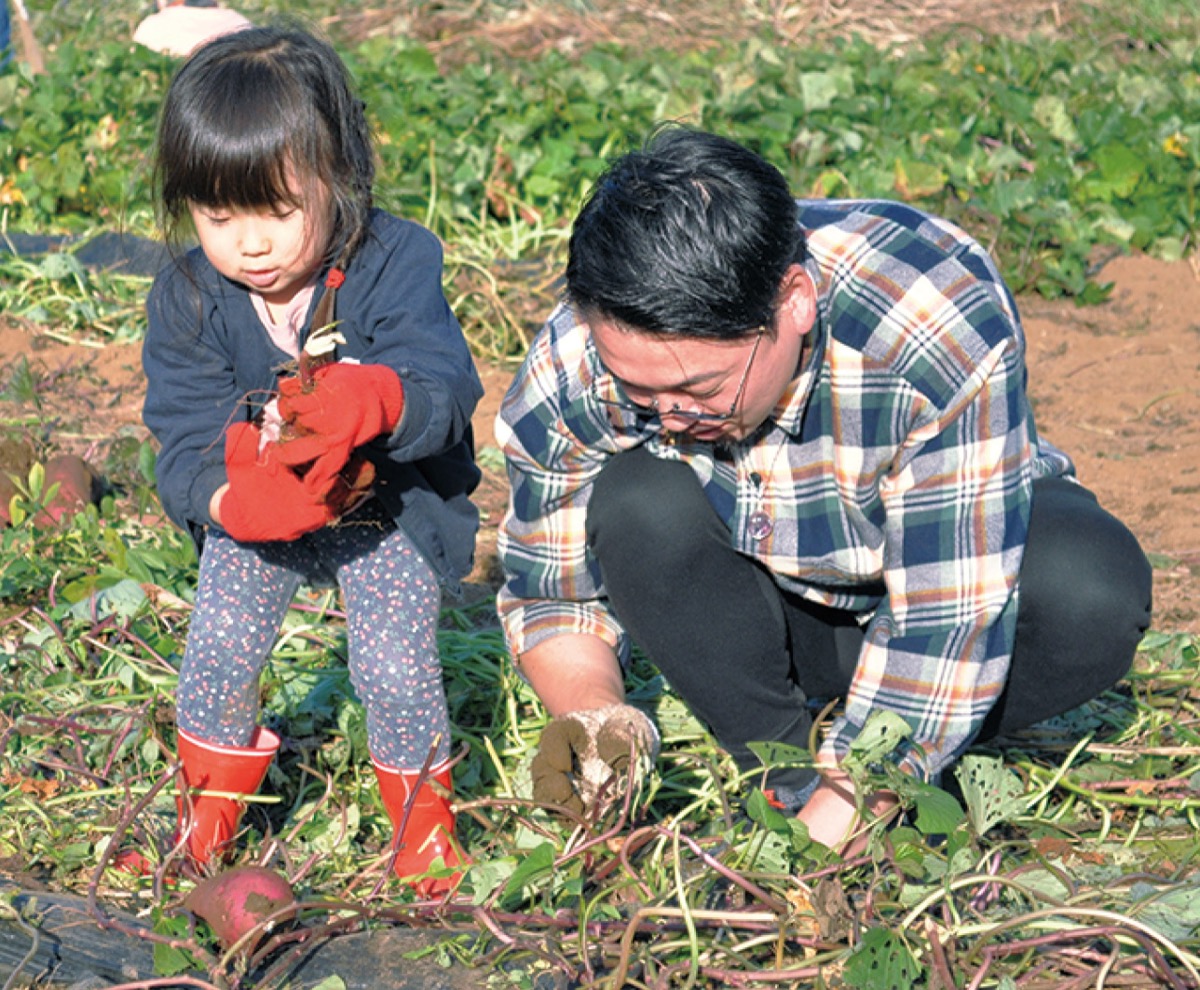 親子でいも掘り