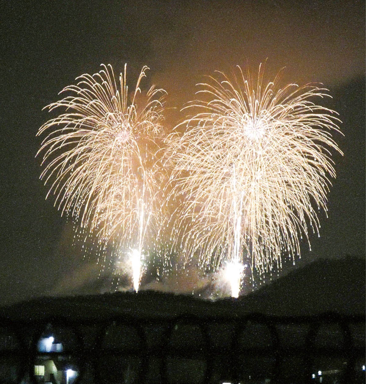 メモリアル事業としておこなわれた花火(2020年)