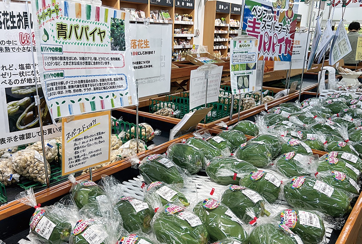 青パパイヤの出荷開始 特産化めざし2年目 秦野 タウンニュース 青パパイヤの出荷開始 特産化めざし2年目 秦野 タウンニュース