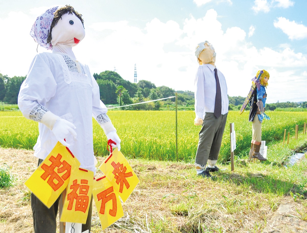 稲穂見守るかかしたち 田原ふるさと公園前で | 秦野 | タウンニュース