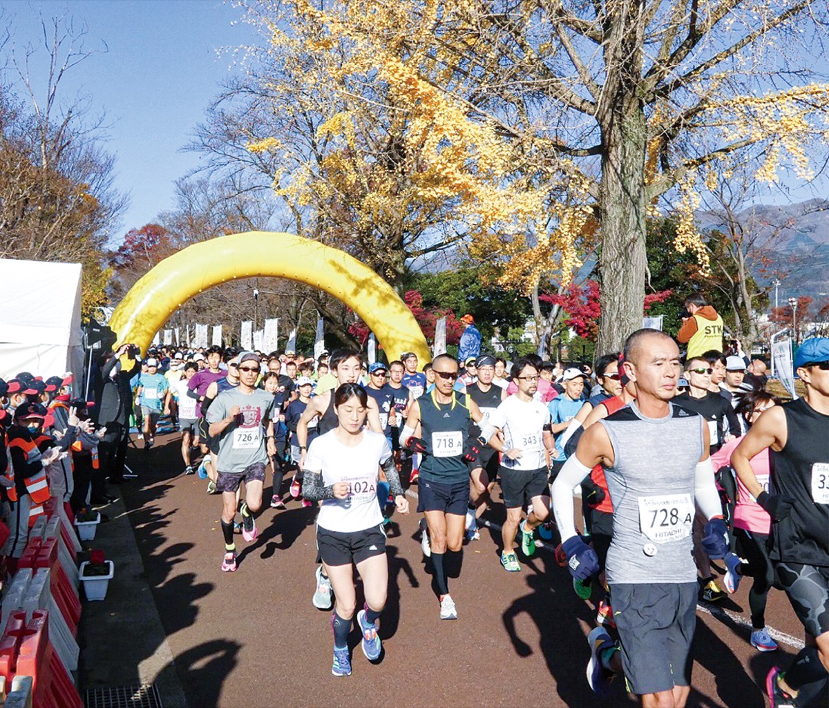 過去の大会＝写真提供・秦野市