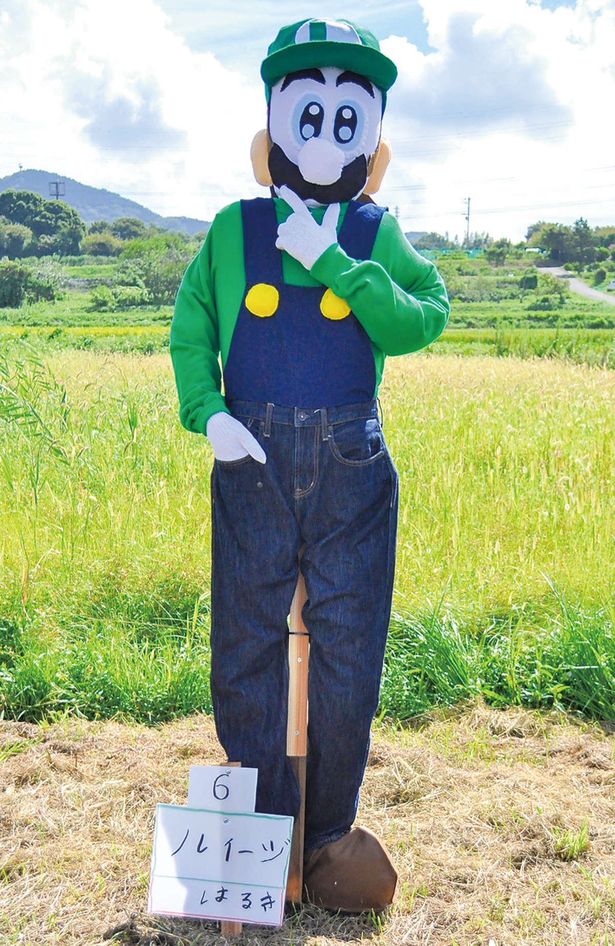 ルイージかかし最優秀賞に 個性溢れる15体から | 秦野 | タウンニュース