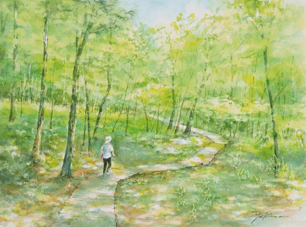 四季の花など水彩画に 25日から、市民ギャラリー | 秦野 | タウンニュース