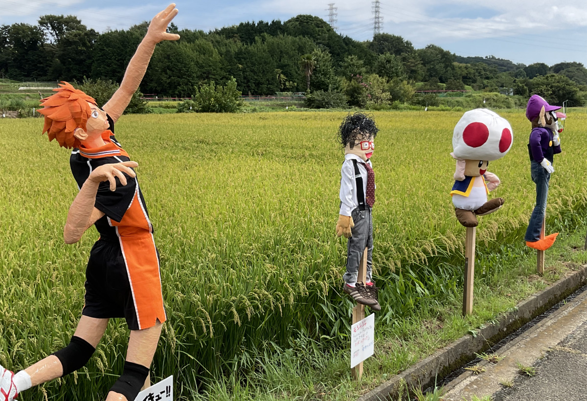 稲穂守る”カラス”跳ぶ