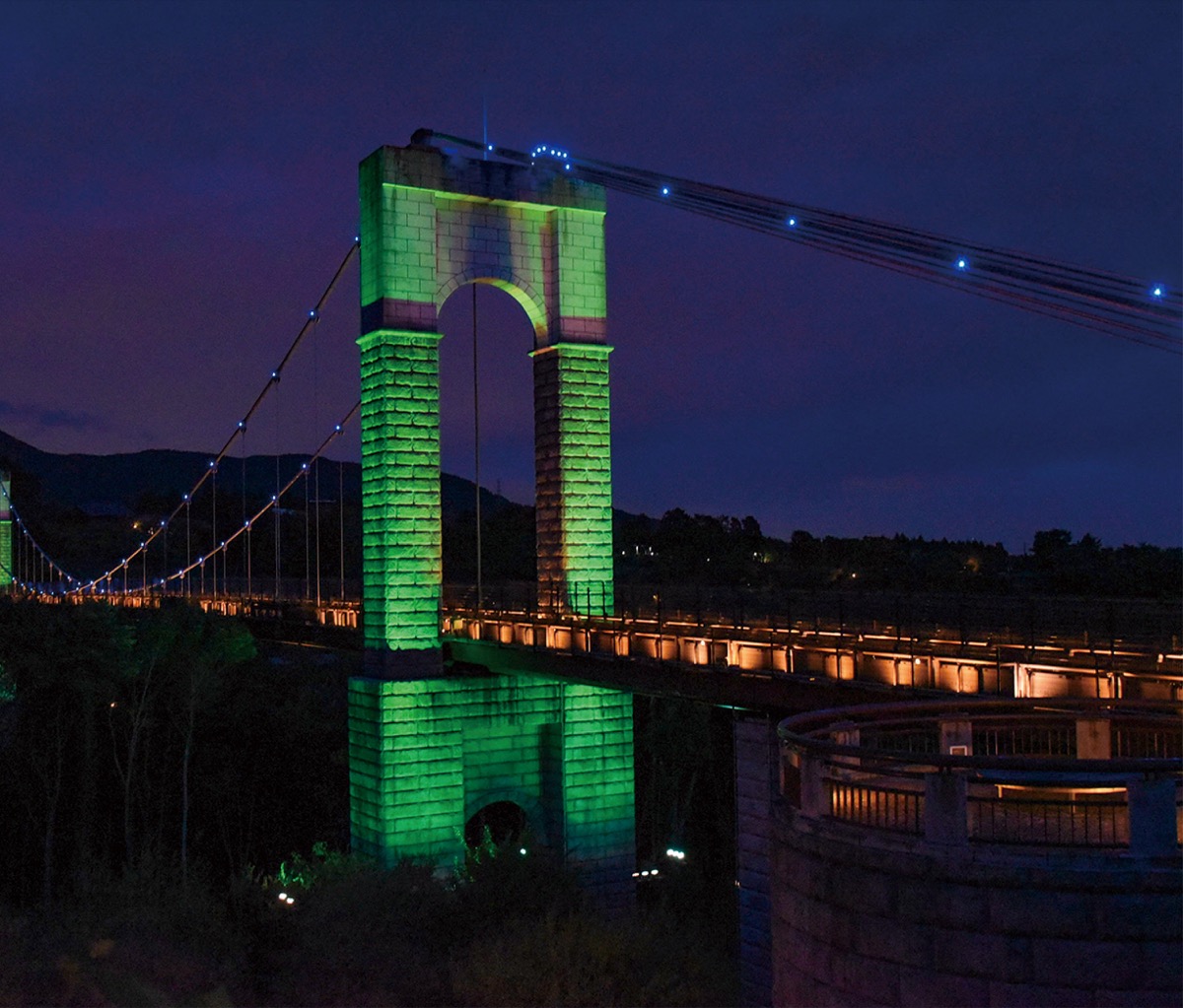｢ミトコンドリア病知って｣