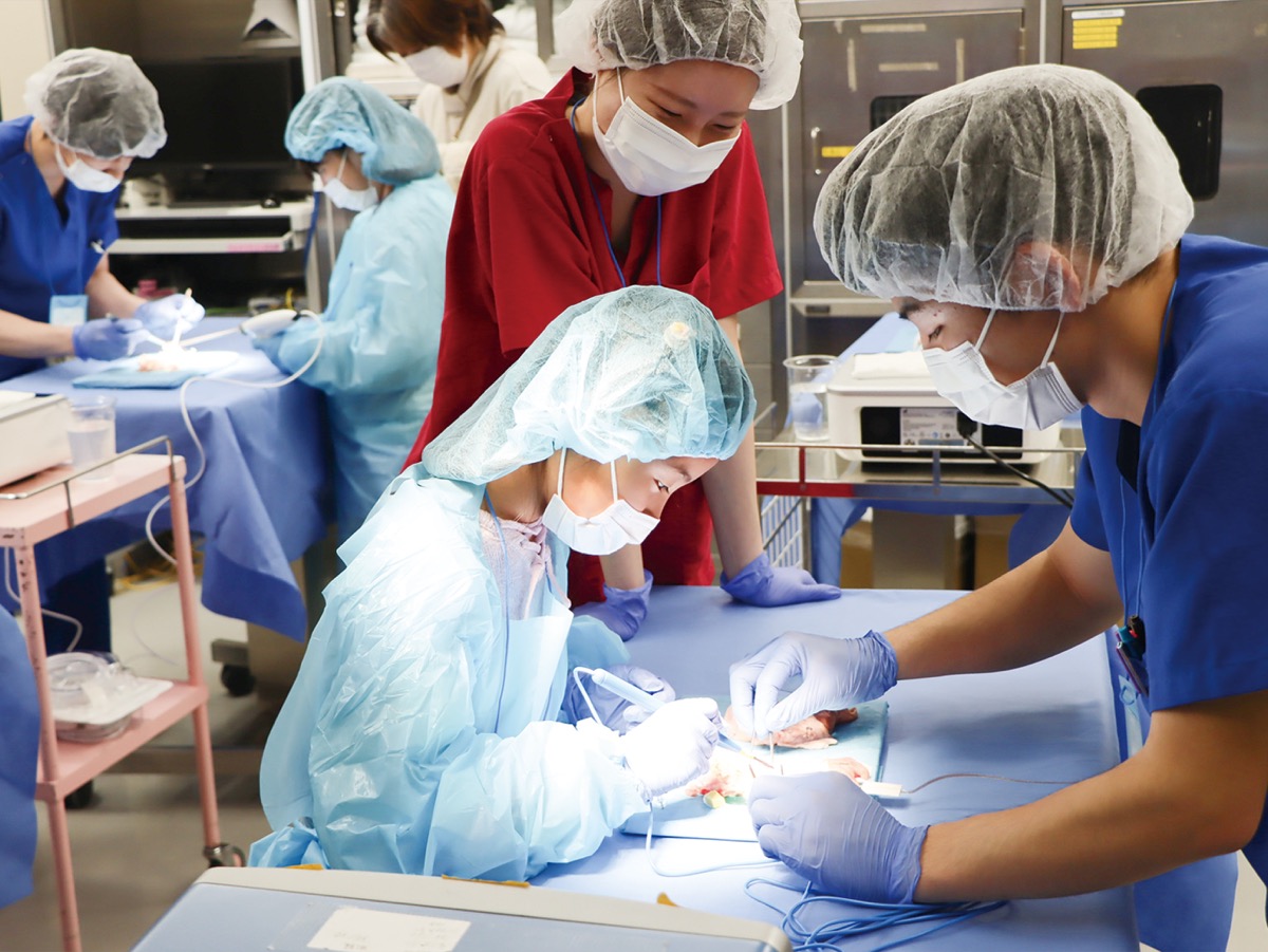 医療体験｢オペラボ｣初開催