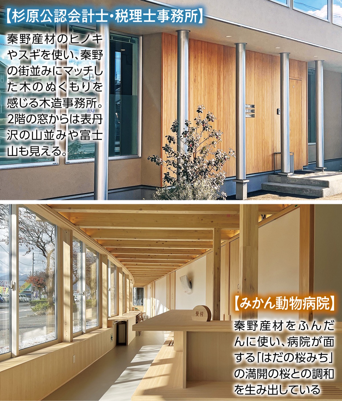 秦野の木で建てる未来に紡ぐまちづくり