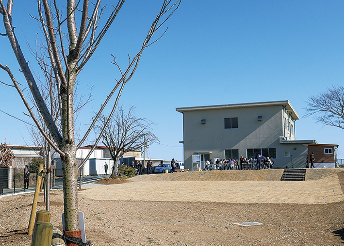 桜が植樹された公園