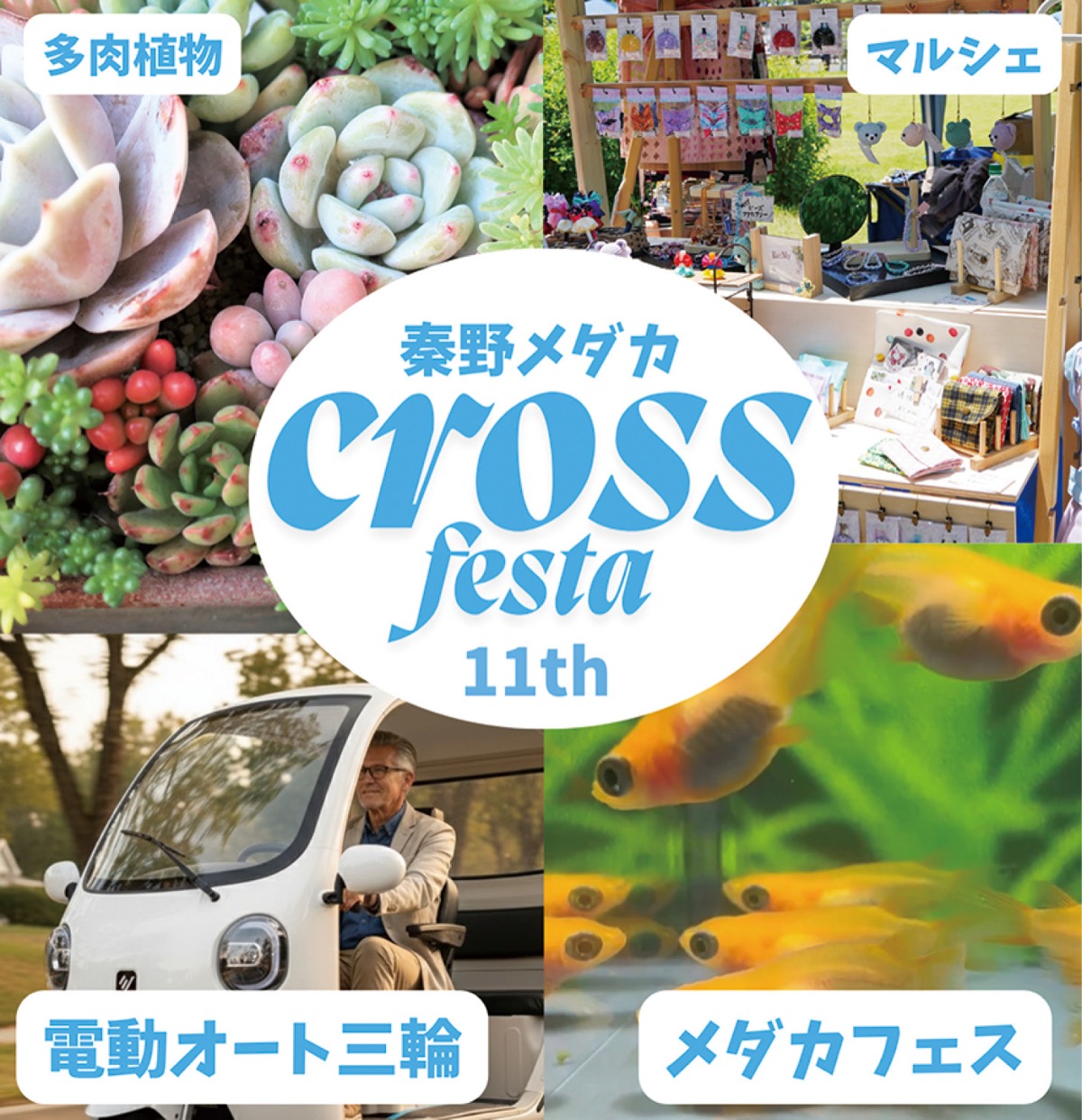 ＧＷ（ゴールデンウィーク）はショー＆メダカフェス (写真2)