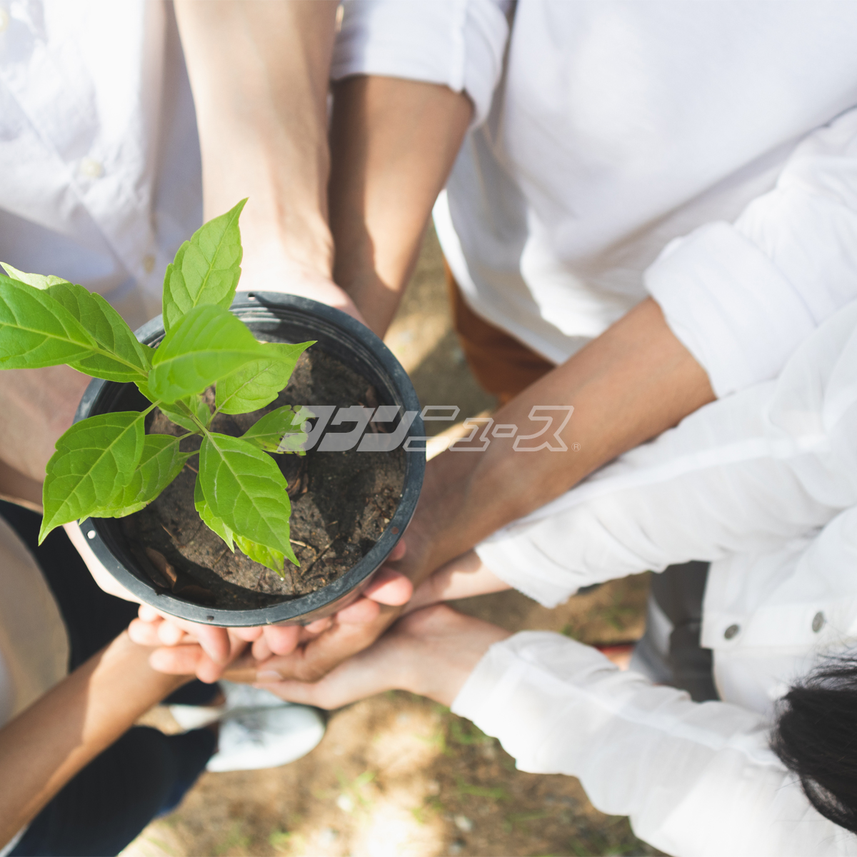 通信所跡地で各種体験
