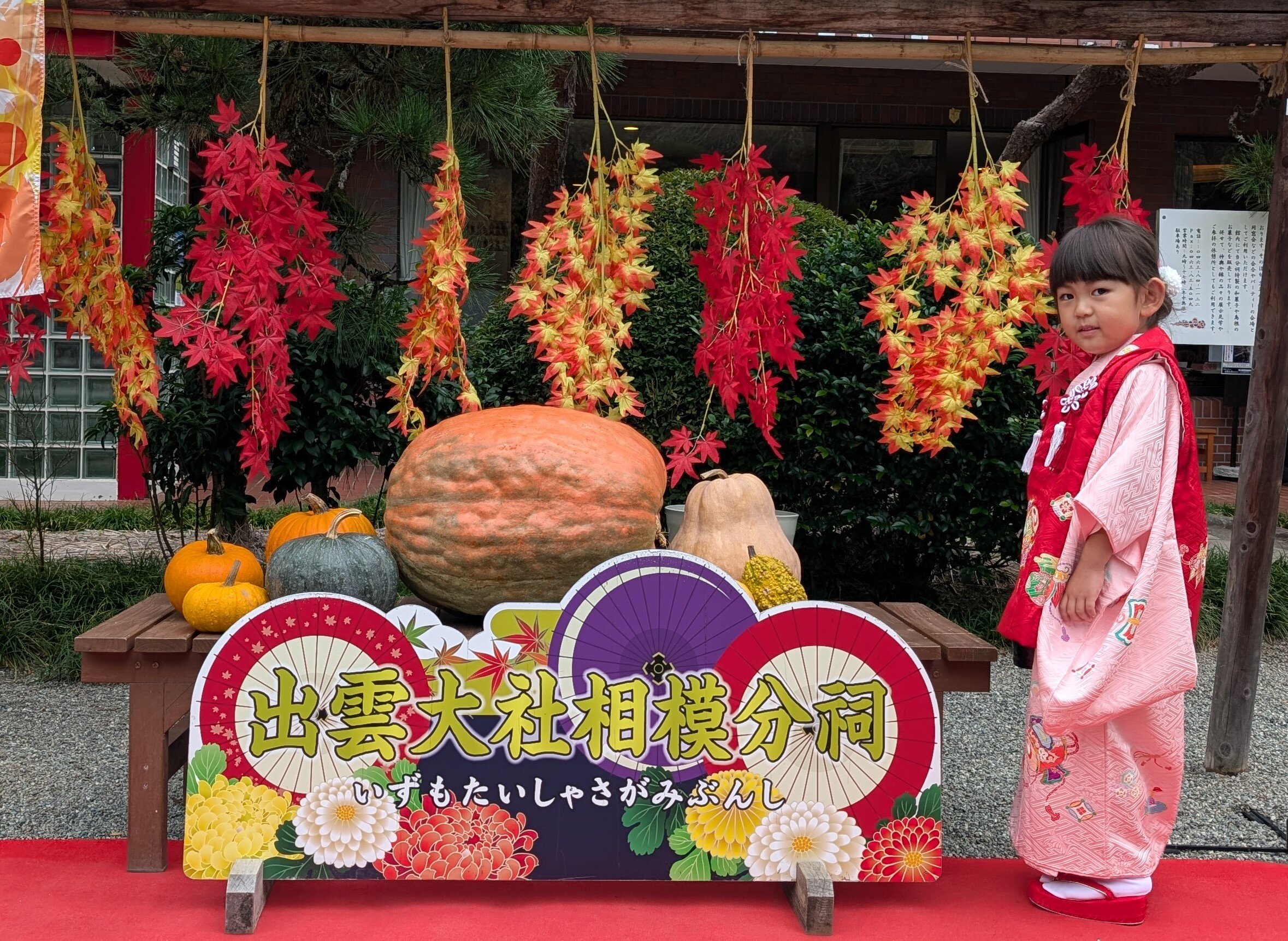 PXL_20251014_012127530.MP -トリミング.jpg