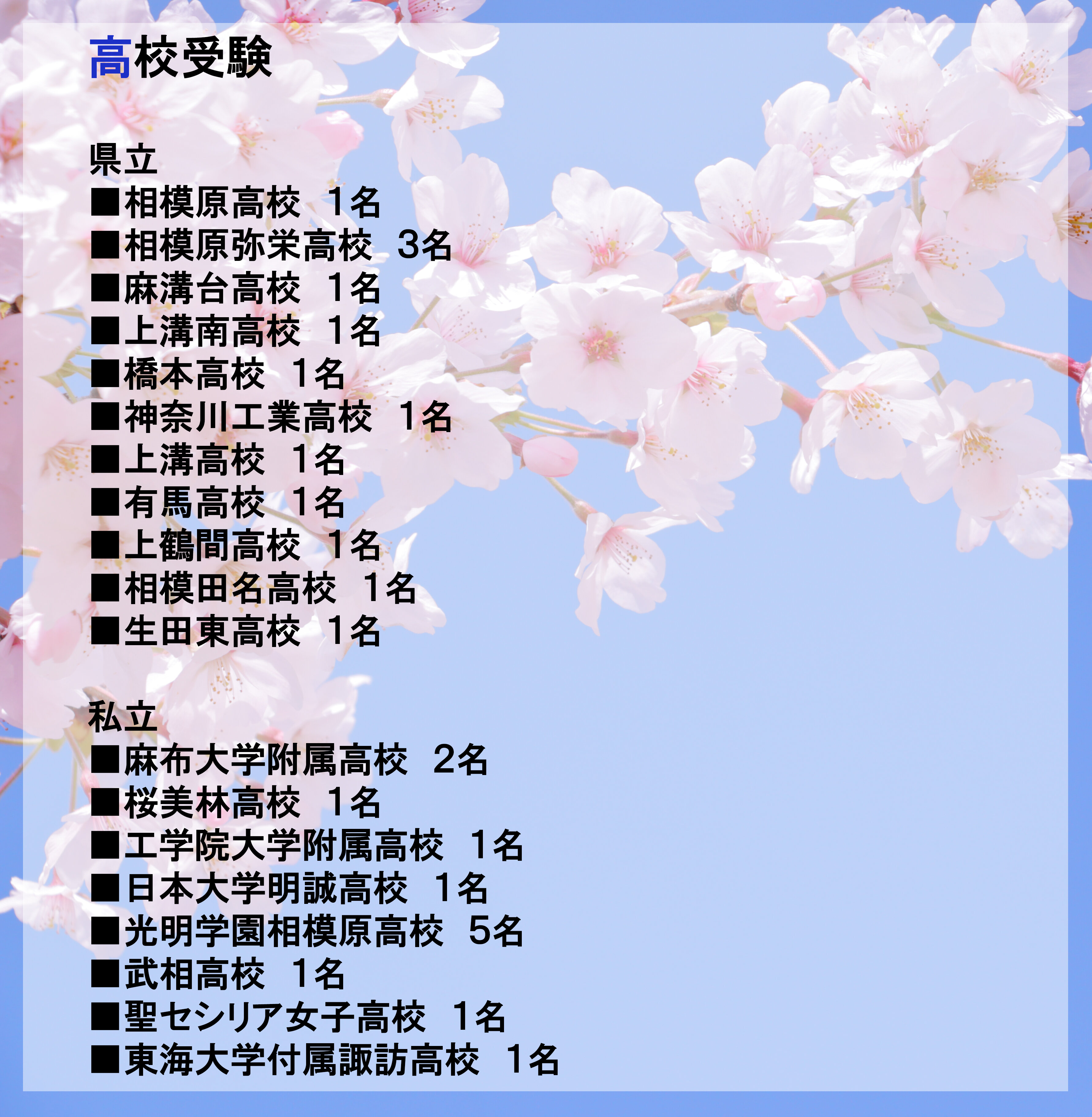 koko.jpg